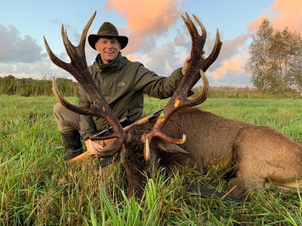 Chasse du Cerf